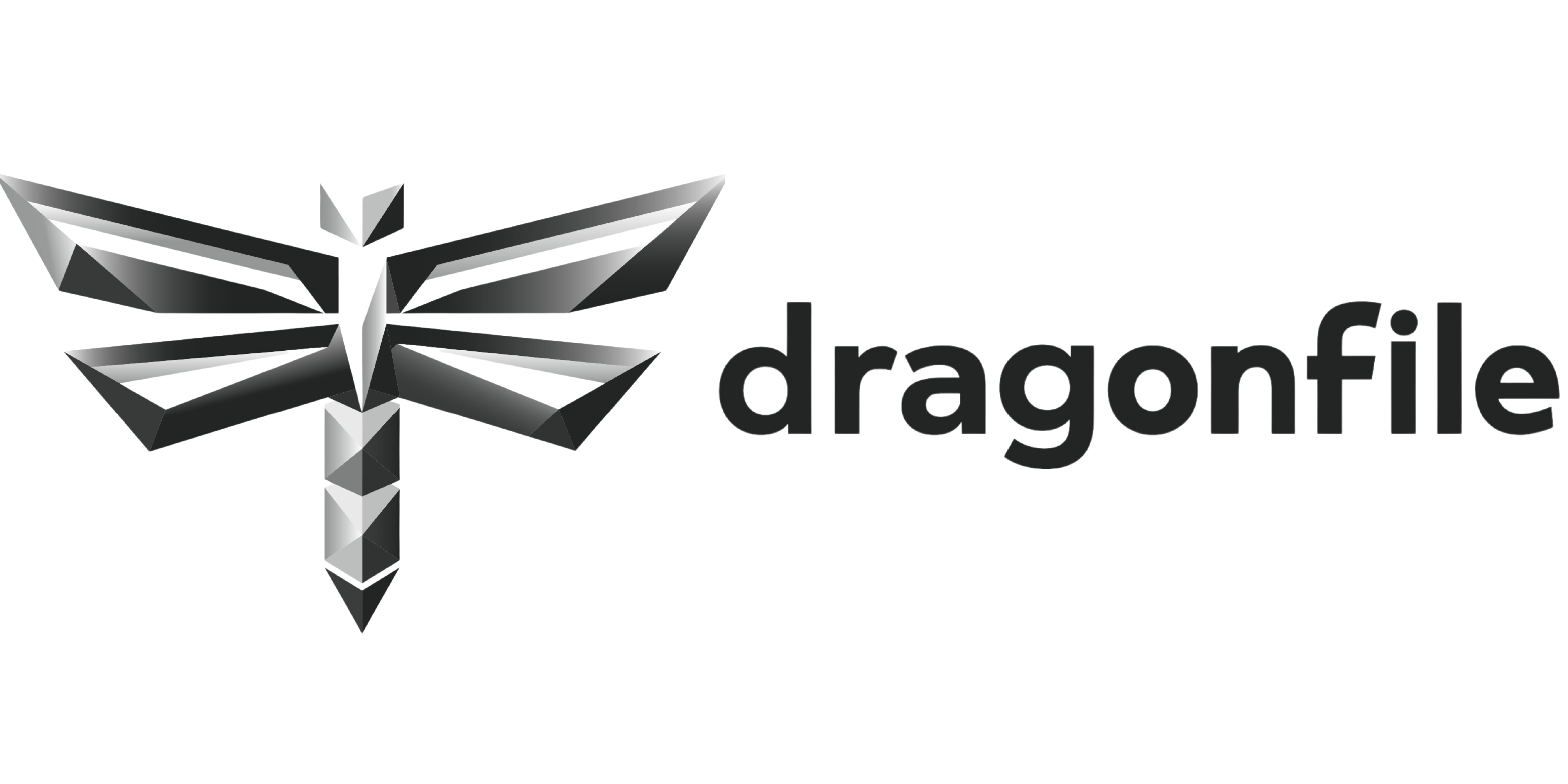dragonfile